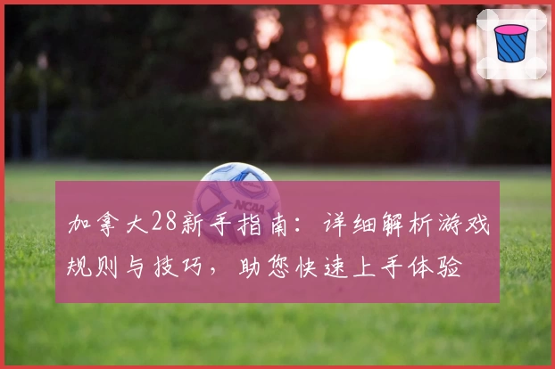 加拿大28新手指南：详细解析游戏规则与技巧，助您快速上手体验