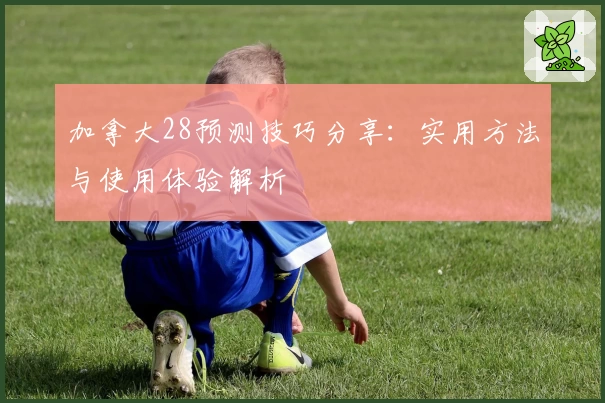 加拿大28预测技巧分享：实用方法与使用体验解析