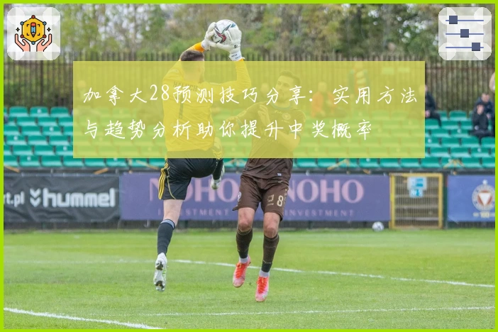 加拿大28预测技巧分享：实用方法与趋势分析助你提升中奖概率