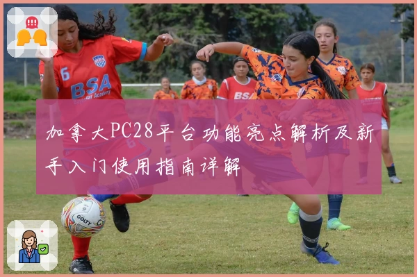 加拿大PC28平台功能亮点解析及新手入门使用指南详解