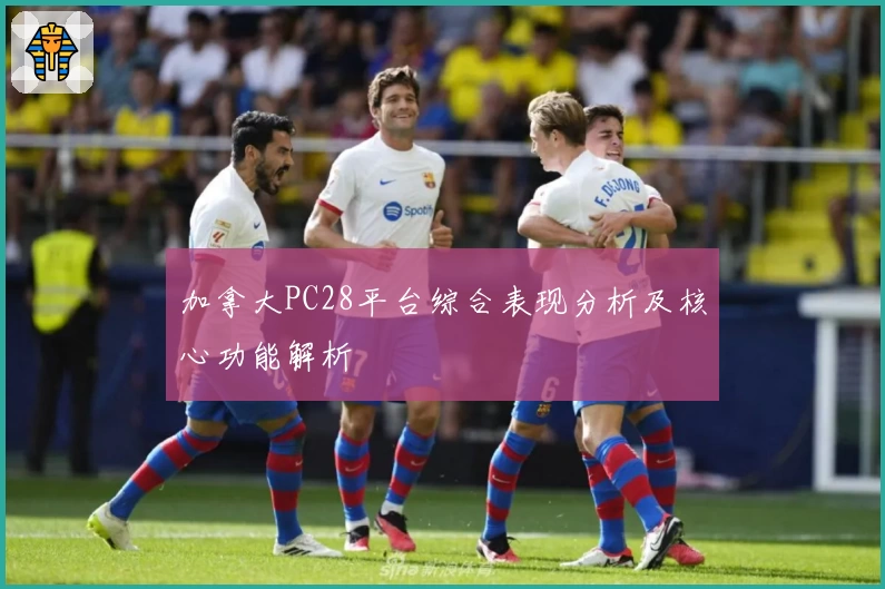 加拿大PC28平台综合表现分析及核心功能解析