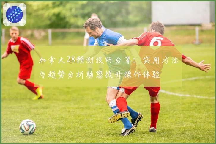 加拿大28预测技巧分享：实用方法与趋势分析助您提升操作体验