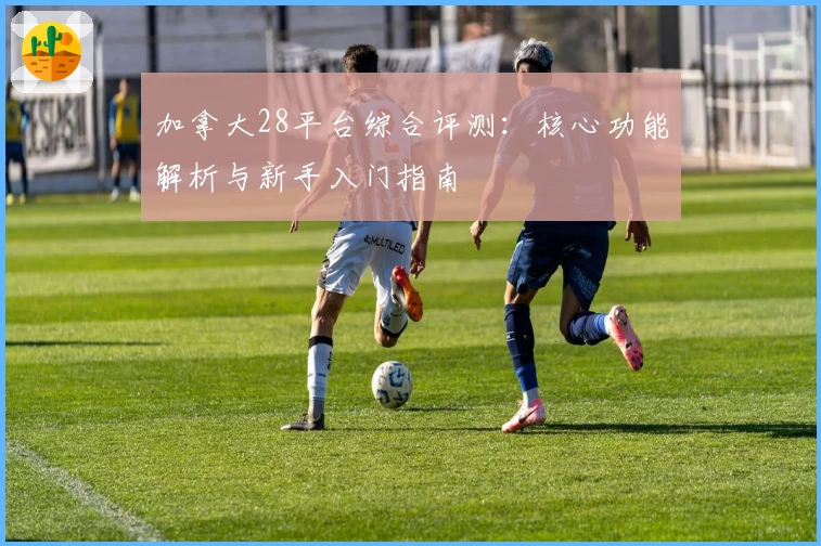 加拿大28平台综合评测:核心功能解析与新手入门指南