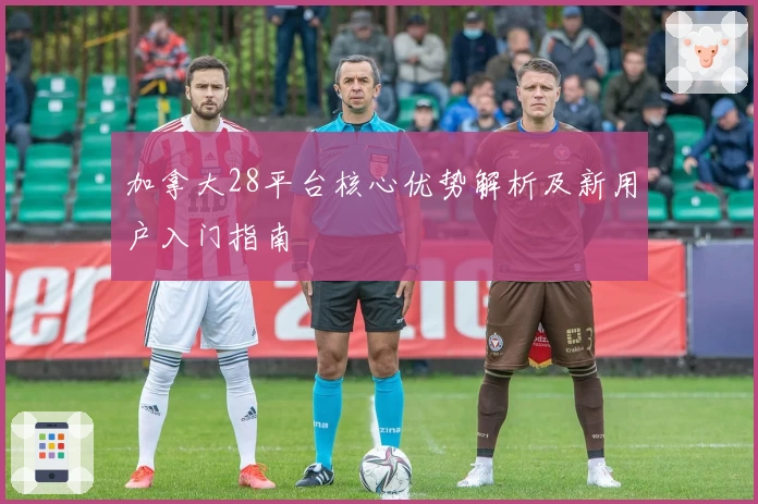 加拿大28平台核心优势解析及新用户入门指南