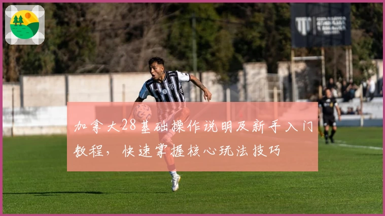 加拿大28基础操作说明及新手入门教程，快速掌握核心玩法技巧