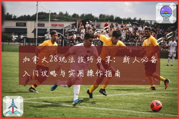 加拿大28玩法技巧分享：新人必备入门攻略与实用操作指南