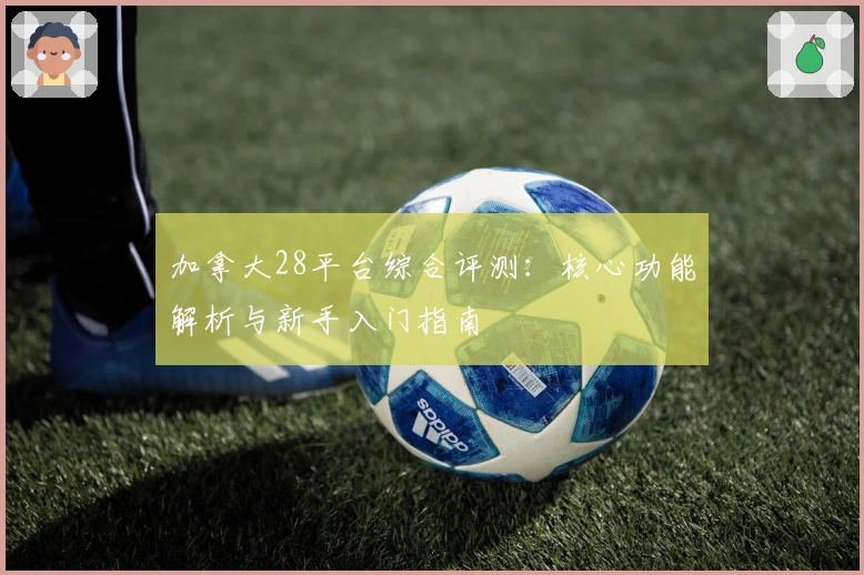 加拿大28平台综合评测：核心功能解析与新手入门指南