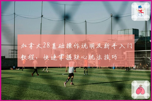 加拿大28基础操作说明及新手入门教程，快速掌握核心玩法技巧