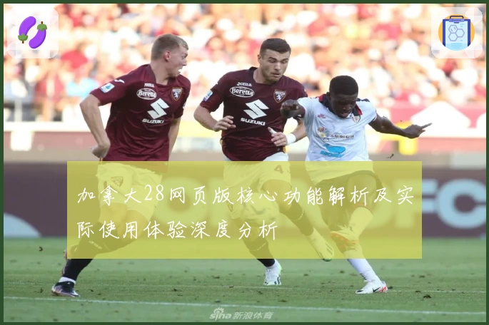 加拿大28网页版核心功能解析及实际使用体验深度分析