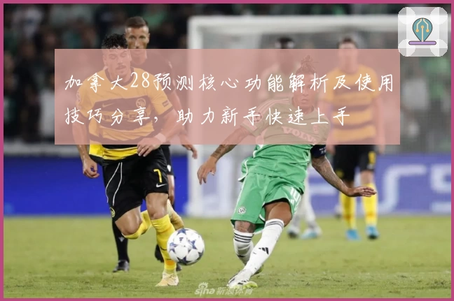 加拿大28预测核心功能解析及使用技巧分享,助力新手快速上手