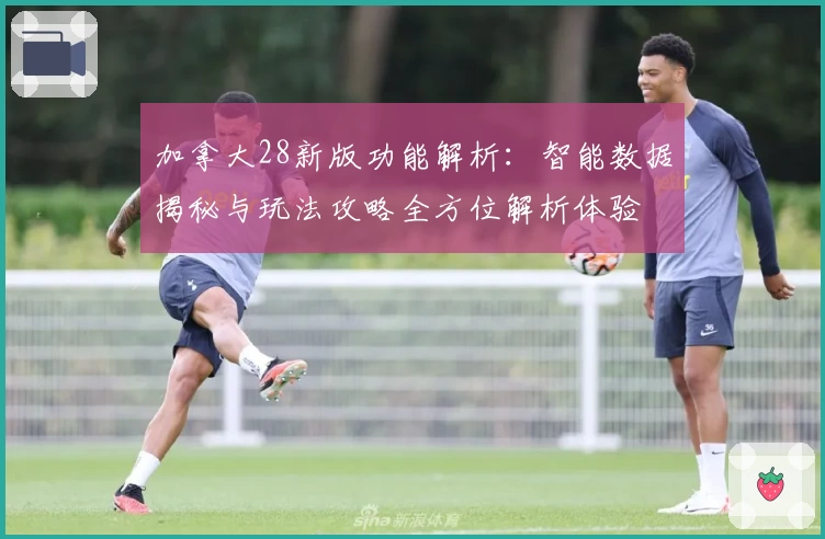 加拿大28新版功能解析：智能数据揭秘与玩法攻略全方位解析体验