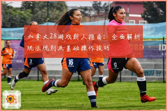 加拿大28游戏新人指南:全面解析玩法规则及基础操作技巧