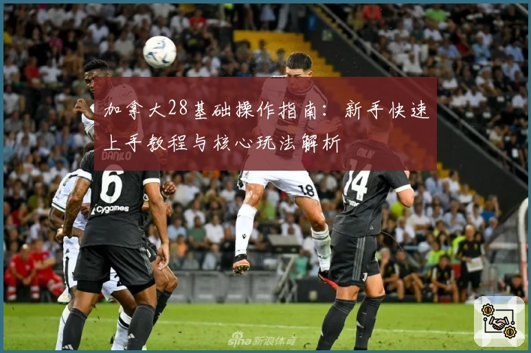 加拿大28基础操作指南：新手快速上手教程与核心玩法解析