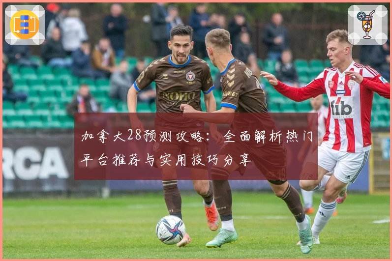 加拿大28预测攻略：全面解析热门平台推荐与实用技巧分享