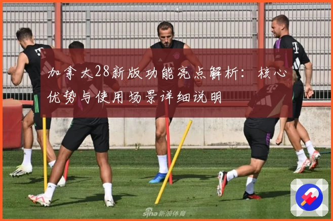 加拿大28新版功能亮点解析：核心优势与使用场景详细说明