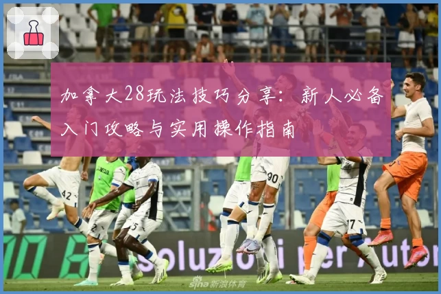 加拿大28玩法技巧分享：新人必备入门攻略与实用操作指南