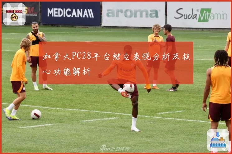 加拿大PC28平台综合表现分析及核心功能解析