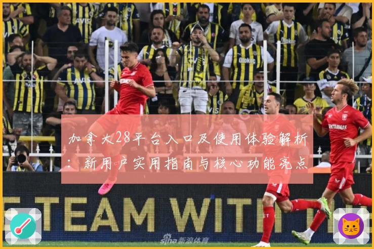 加拿大28平台入口及使用体验解析：新用户实用指南与核心功能亮点详解